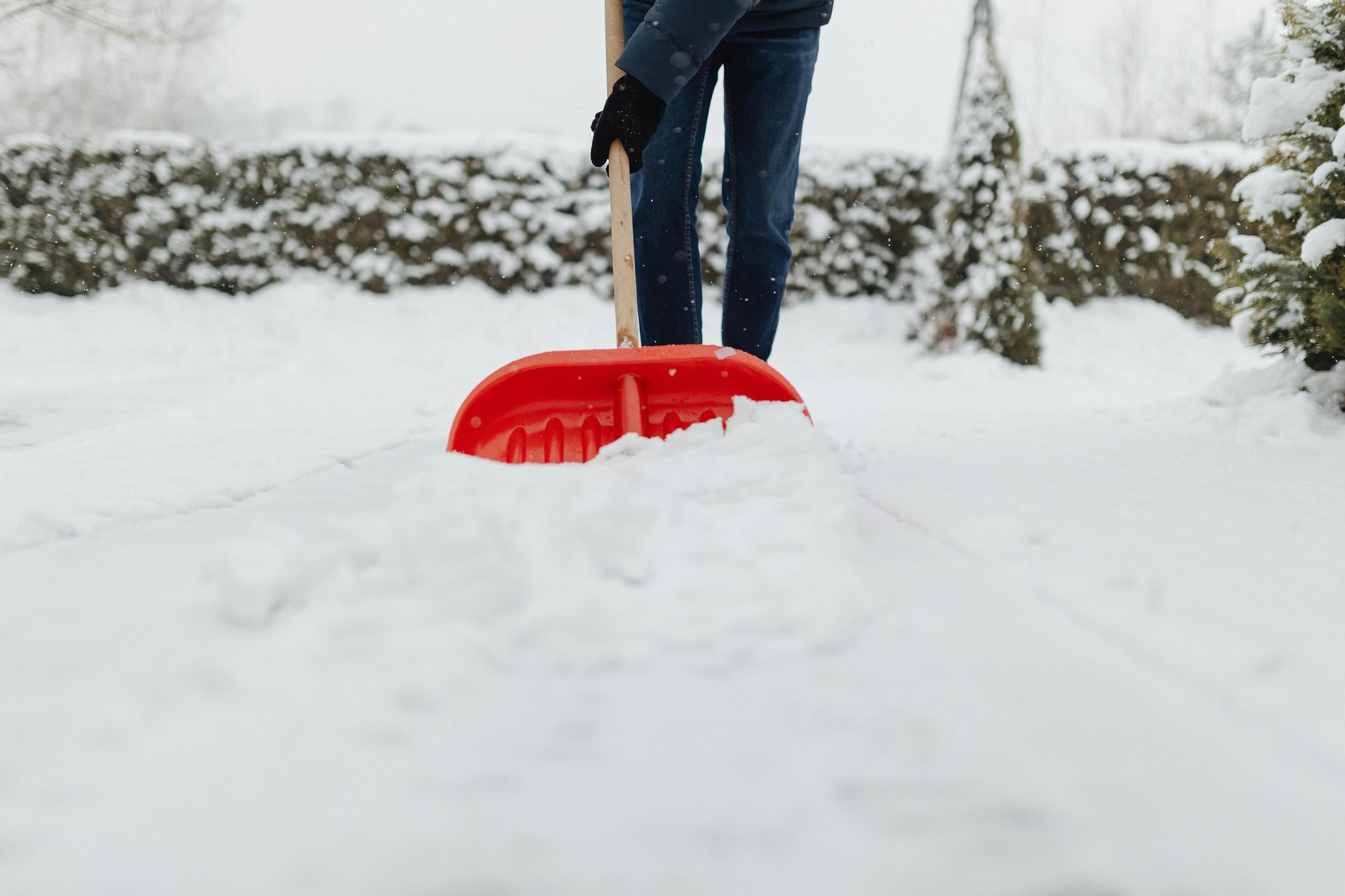 Leaf / Snow removal 